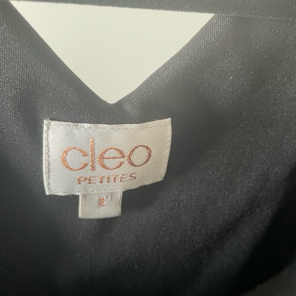 Beautiful Suede Cleo Petite Mini dress size 2 - Picture 2 of 4